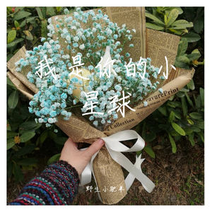 我是你的小星球