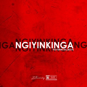 Ngiyinkinga