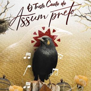 Passaro(noivos prt1)