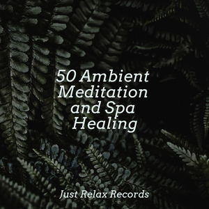 Shrouded Summit Solitude