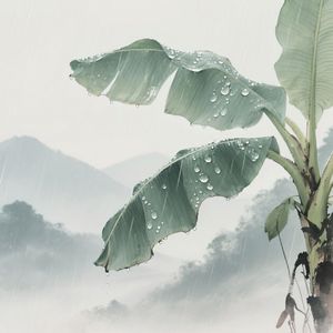 雨打芭蕉