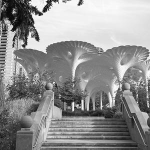 The Puzzle Fell Apart