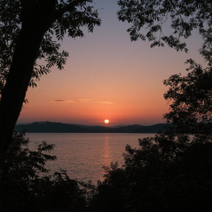 你从未为我停留