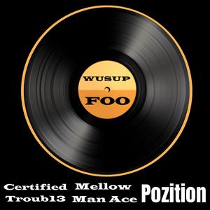 Wusup Foo (feat. Mellow Man Ace & Pozition)
