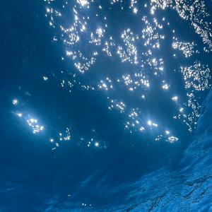 walt mitty (feat. hendrx)