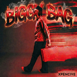 Biggy Bag