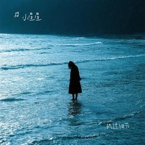 执迷细节 (Cover 黑崎子)