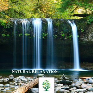 Green Dragon Goes out of the Water