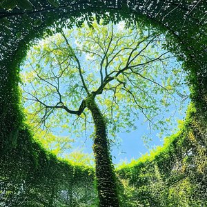 《Lemonade Ocean》