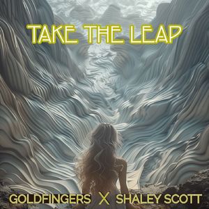 Take The Leap (Craig J. Snider Original Radio Edit)