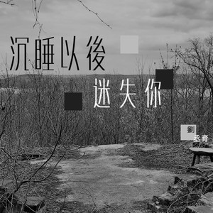 沉睡以后迷失你