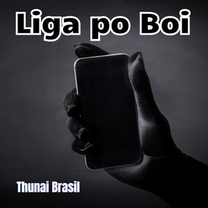 Liga Po Boi
