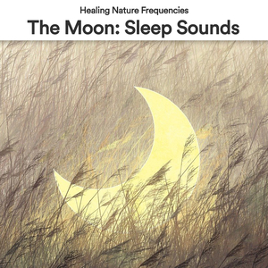 The Moon: Sleep Sounds, Pt. 10