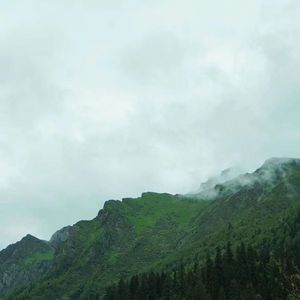 青山