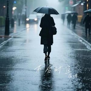 不合时宜