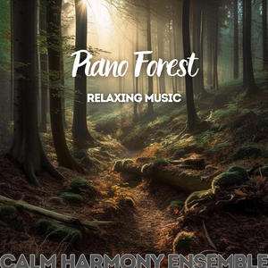 Electronic Soundscapes (Relaxing Music) (Forest Noise)