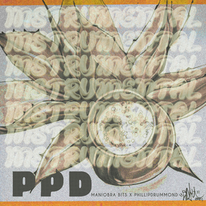 PPD (Instrumental Version)