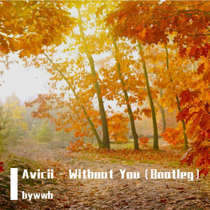 Avicii-Without You (Bootleg) - Dark（bywwh remix）