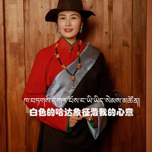 白色的哈达象征着我的心意