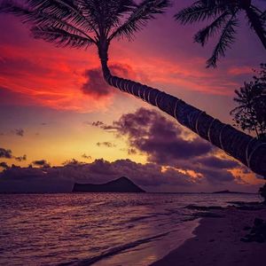 midsummer madness type beat