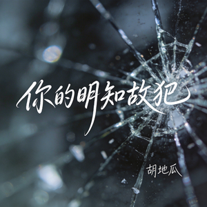 你的明知故犯（原版）