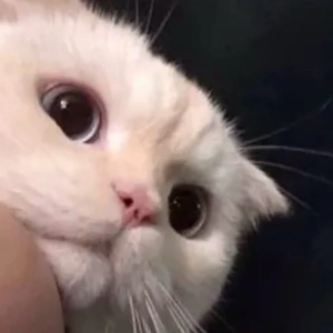 你走那天天空下起了大雨