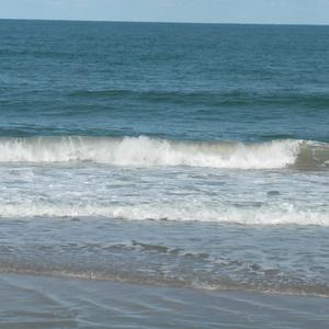 Catching the Wave (Original Motion Picture Soundtrack)