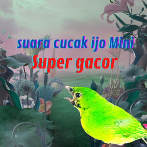 Pancingan Suara Cucak Ijo Mini Super Gacor