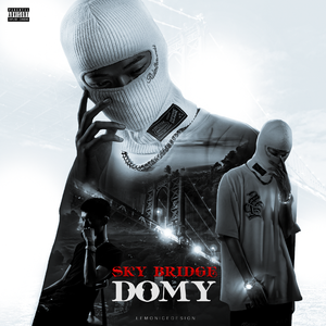 柳 (Feat.Lil butterfly)