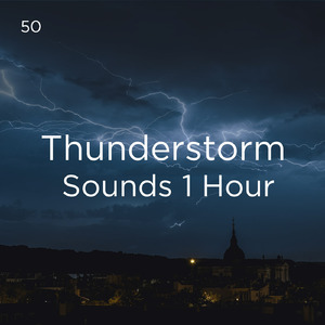 호우 잠