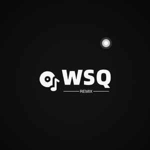 十三电音（WSQ/Remix）