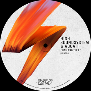 Funkasizer (Original Mix)