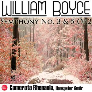 Symphony No. 5 in D Major, Op.2/5: II. Adagio, Allegro assai