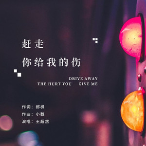 赶走你给我的伤