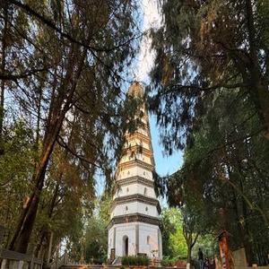 我们很好 (Cover 郑润泽)