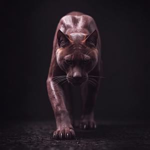 Rage Panther
