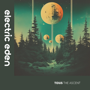 The Ascent