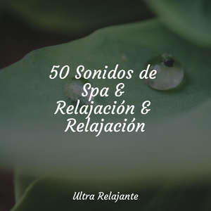 Trascendencia en Movimiento