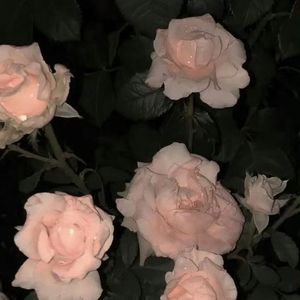 和你（prod.by Morrow)