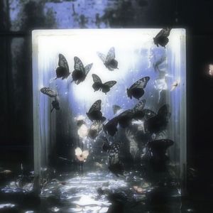 I never grow up （Prod. Fantom)