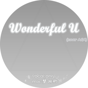 wonderful u