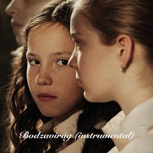 Bodzavirag (Instrumental)