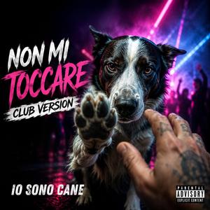 Non mi toccare! (Club Version)