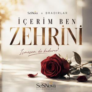 İçerim Ben Zehrini