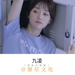 酒醉的蝴蝶 (DJ版)