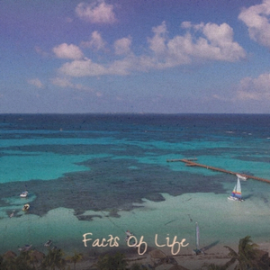 I'll Never Fall In Love