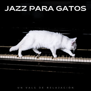 Patas De Jazz