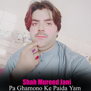 Mane Sha Zargia