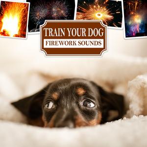 Party Talk with firework (most intense)