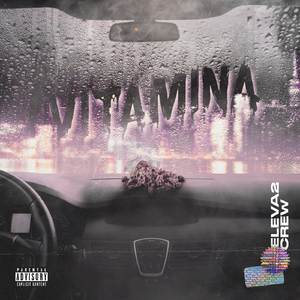 Vitamina